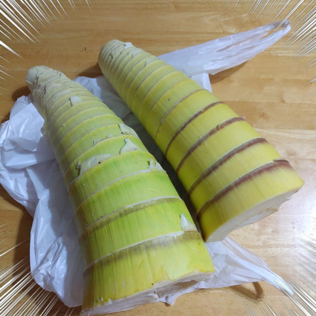 コレ食べれる？竹にしか見えないけど...