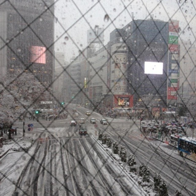 雪天空お団子と、ふっわふわ伊勢うどん。渋谷ヒカリエ 茶寮 伊勢藤次郎