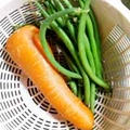 「人参と鞘いんげんの胡麻和え」