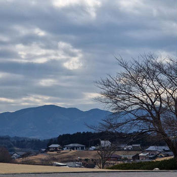 普通に盗んでいくイタリア。