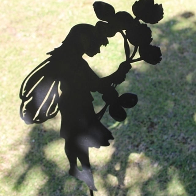 My garden♥　暑さに負けないで・・・