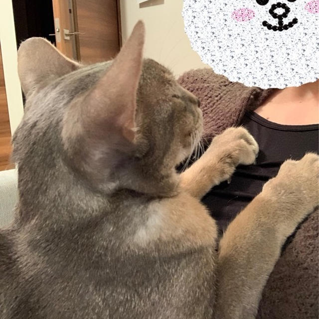 甘えマン　可愛すぎるマン