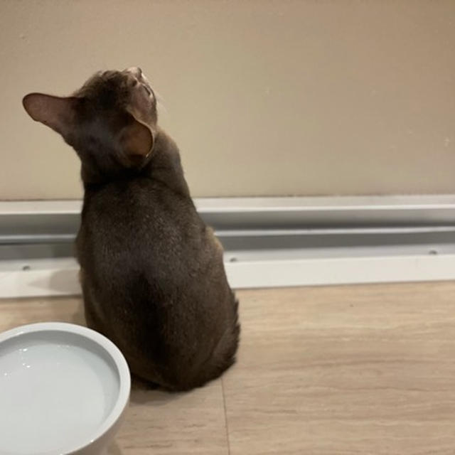 最前線のあっち側