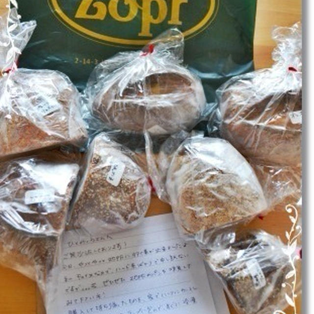 zopfのパン＆旨々ベーグルと春の便り♪