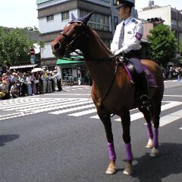 葵祭りにいってきました(*^ー゜）ｖ