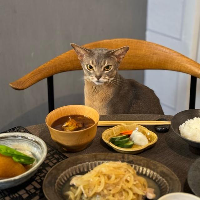 しょうが焼き定食の夜ごはんと、本気の魔神坊