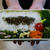 2023/6/2のパートナーの相棒のボリューミーお弁当 【#お弁当】【1888個目】