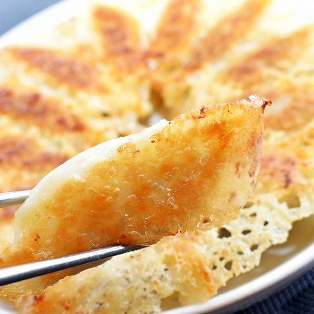 プロが教える!絶品餃子の作り方【インスタ映えレシピ】