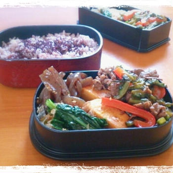 ゴーヤの肉炒め弁当