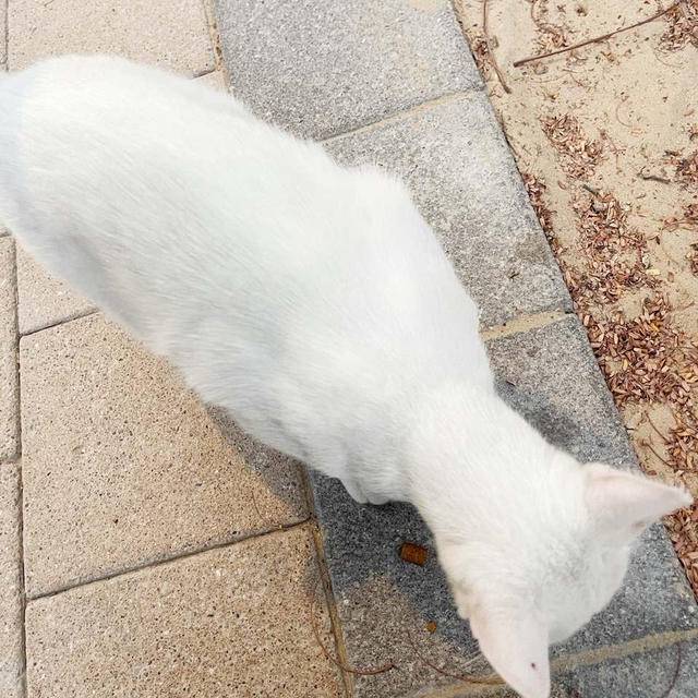 久しぶり