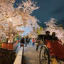 京都白川 ＆ 祇園しだれ桜、まだまだいけました！！