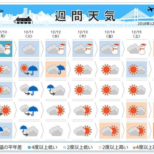 葉山農園（12月上旬）☆秋ジャガイモの収穫