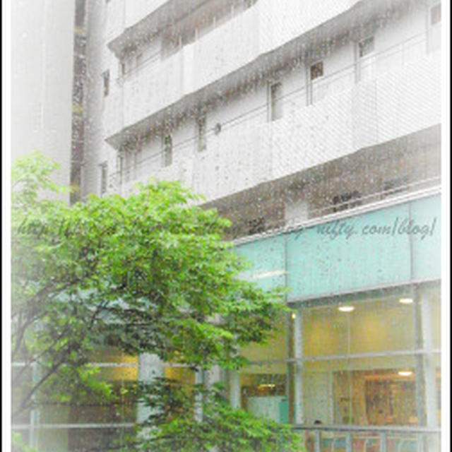 冬瓜の蟹あんかけ