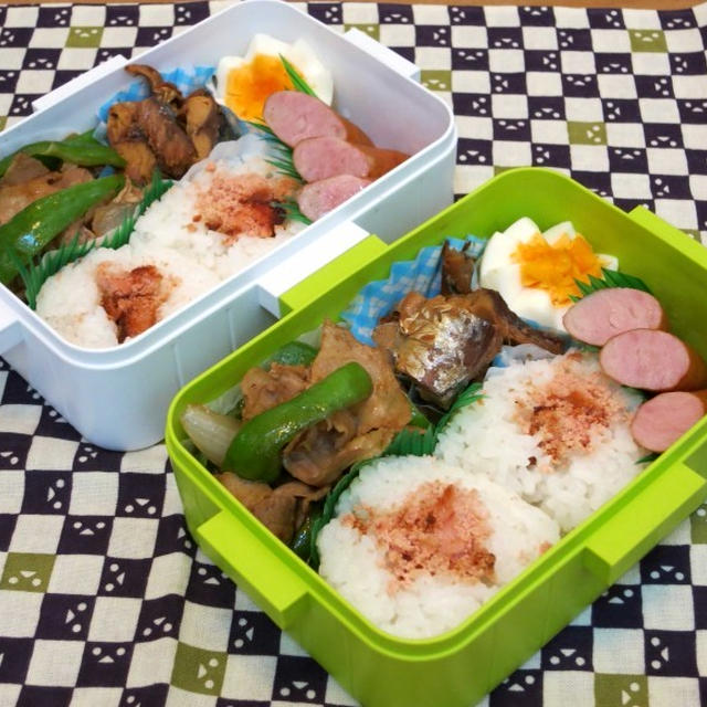 たらこおにぎり弁当～　と　じゃがいもの花