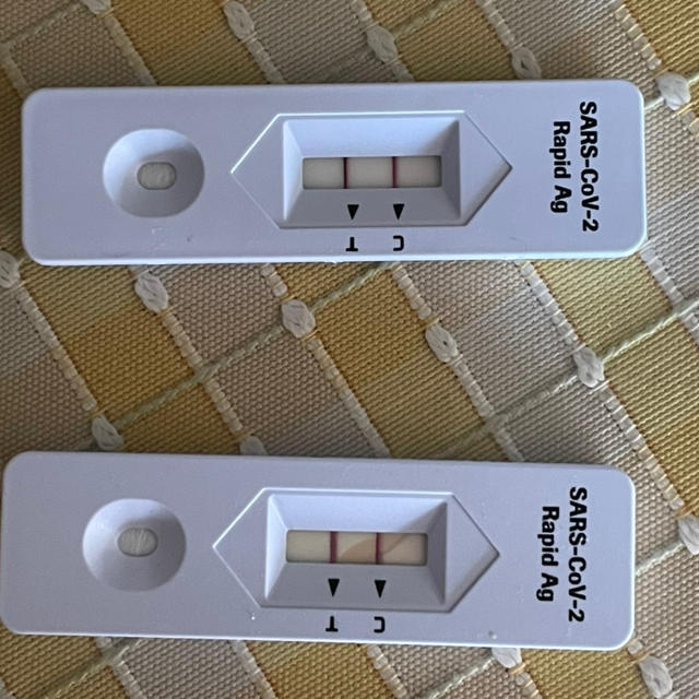家族その２、陽性。