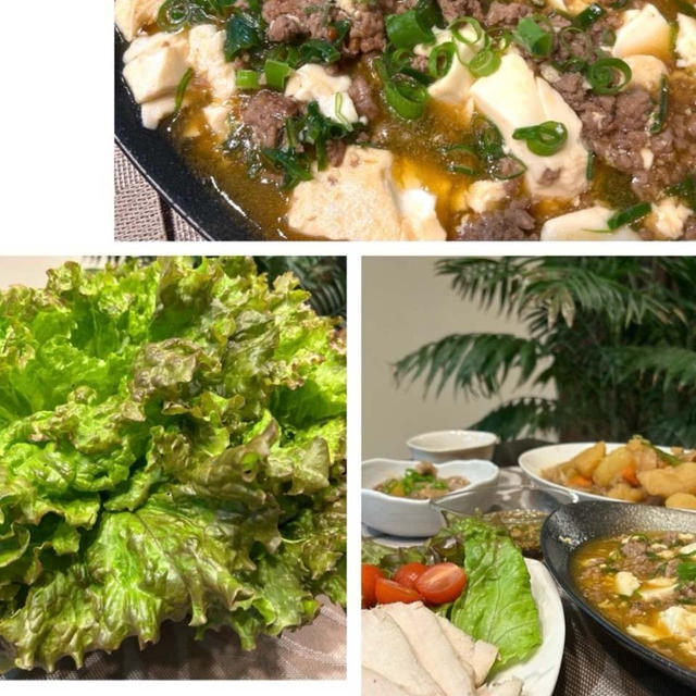 簡単中華で夕食です〜麻婆豆腐やチキンハムのネギソースかけなど