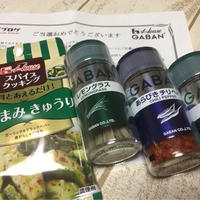 GABANのスパイスで夏レシピ♪ その1