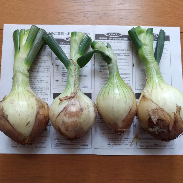 価格高騰中...