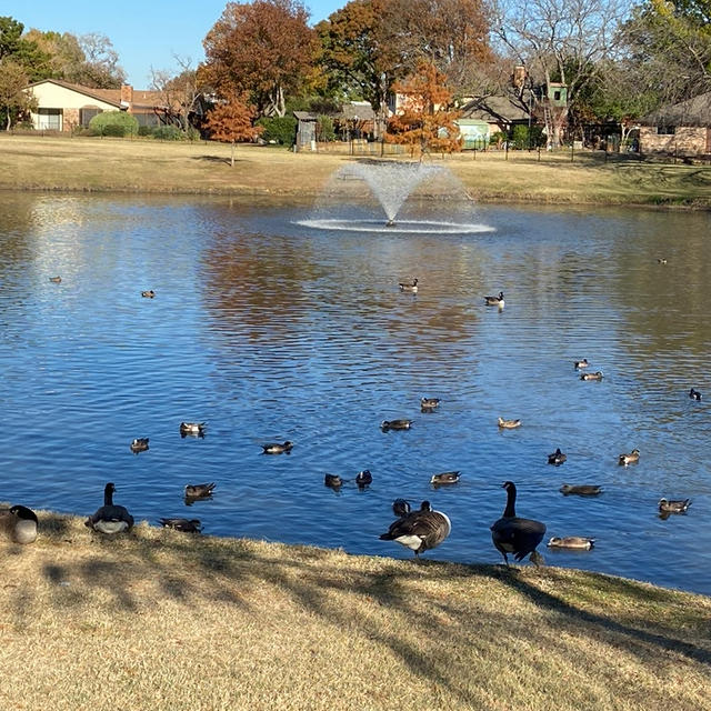 アメリカのおうちごはん　穏やかな金曜日の午後