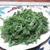 冬野菜の美味しさを感じよう！！春菊のセンチェ