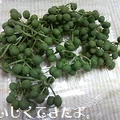 山椒醤油 作り方