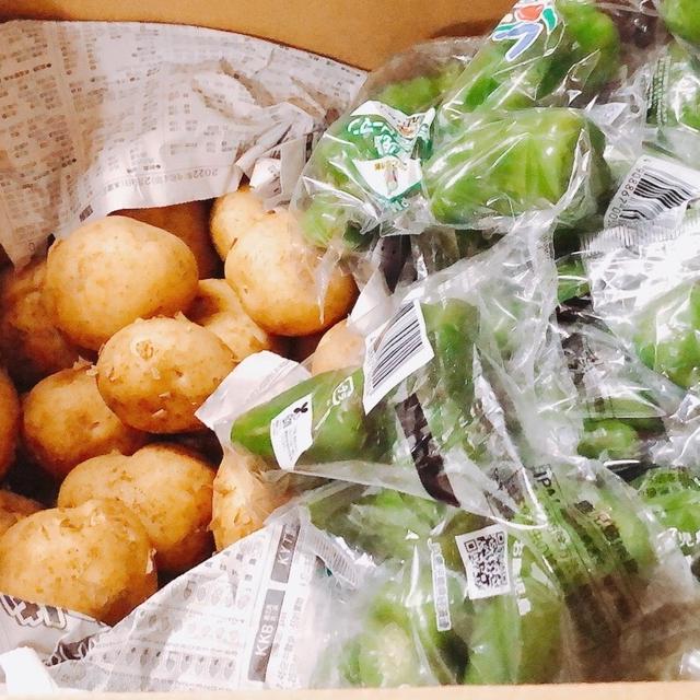 鹿児島県農協野菜部会協議会とネクストフーディスト　コラボ企画　ピーマン・じゃがいもの効能効果　