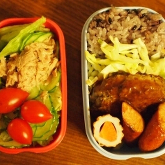 母のハンバーグとお弁当