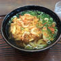 紀ノ川サービスエリアで「かき揚げうどん」