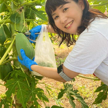 青パパイヤの圃場見学に行って来ました