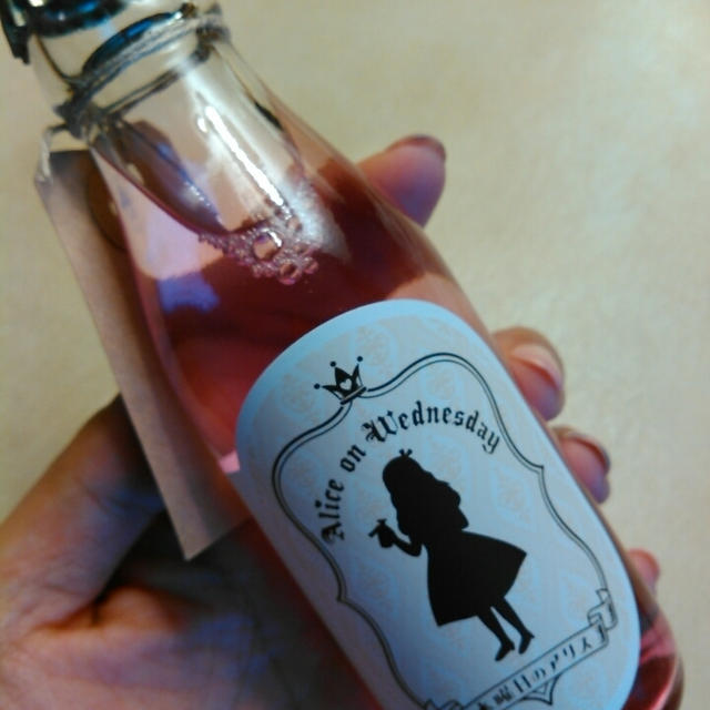 ミニチュアサイダー☆水曜日のアリス(名古屋の大須)でお買い物
