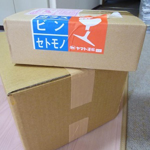 あのテレビで初当選！