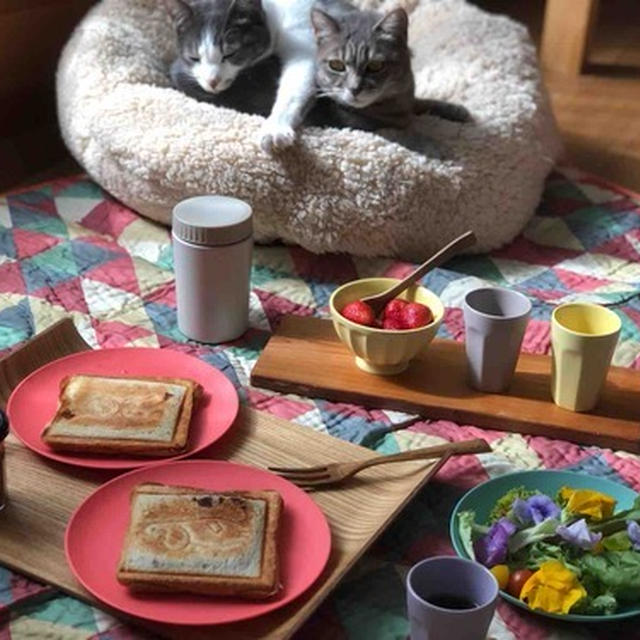 ねことお家ピクニック
