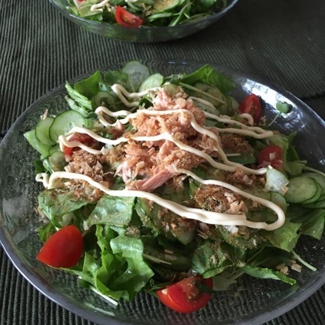 ガストで食べたサラダうどん