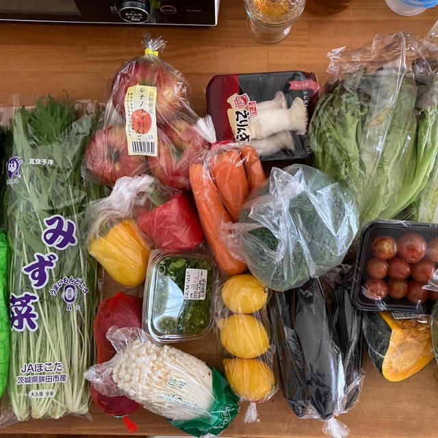 【食材まとめ買い(11月第2週目)＆今週の献立予定！】