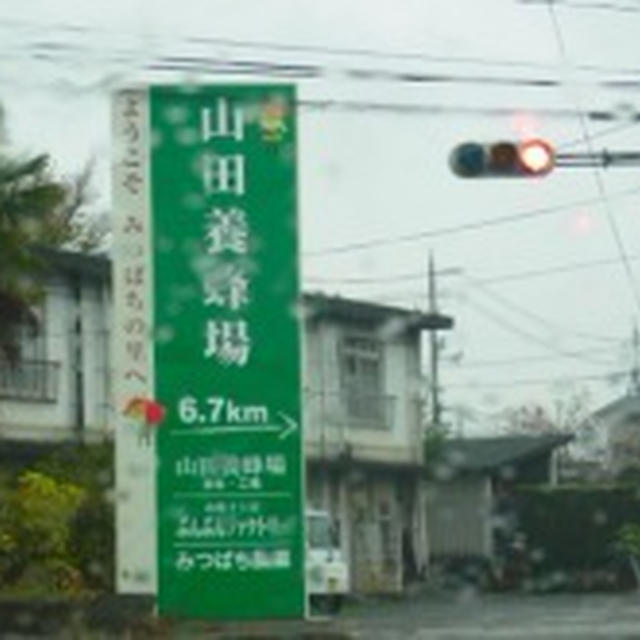 山田養蜂場 お菓子工房「ぶんぶんファクトリー」おいしいジェラート♪