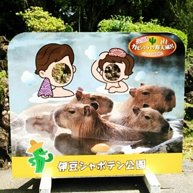 伊東旅行☆動物と近くてふれ合える～伊豆シャボテン公園