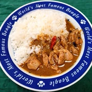 ヤマモリ・タイカレー プリックで昼ごはん