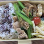 今日のお弁当＋毎日しゃぶしゃぶサラダ