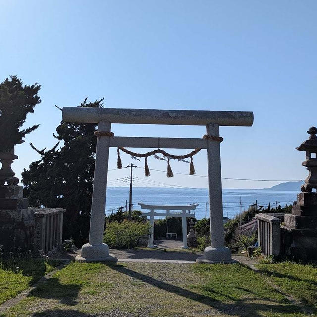 カブさん走らせ