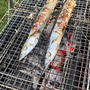 秋キャンプなら秋刀魚焼くでしょ！岩手切炭で秋刀魚を焼いてみた。