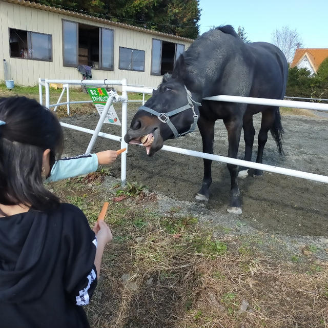 ちょっぴりお出かけ♪リフレッシュしました＼(^o^)／