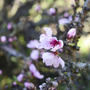 ３．１１。