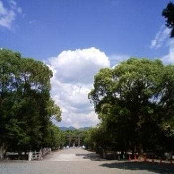 少しずつ落ち着いてきたら