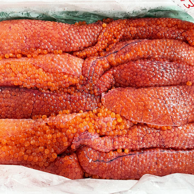 生筋子 〜新物〜