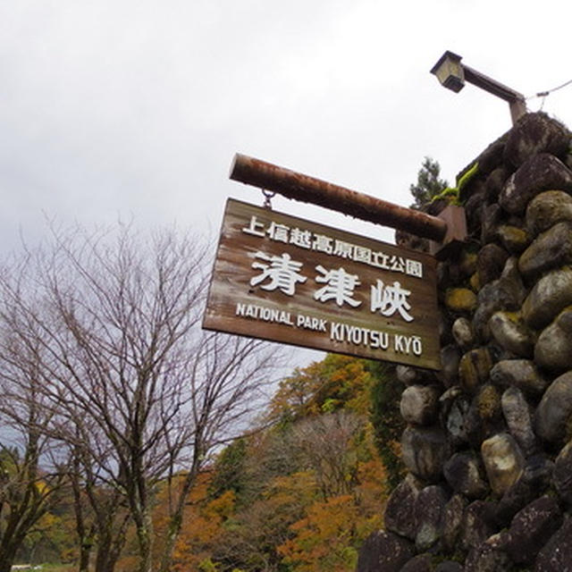 新潟・日本三大峡谷｢清津峡｣で紅葉狩り！