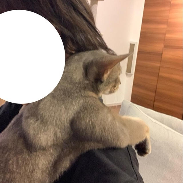 最近、抱っこマンがエスカレートしている