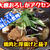【レシピ】鶏肉と茄子と厚揚げのおろし煮！　さっぱり煮物です！