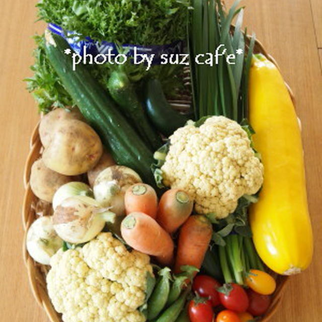 野菜パワーを頂こうと。。。