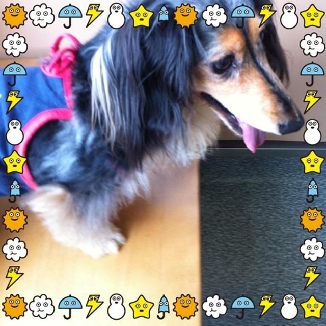 ビビり