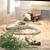 上野動物園